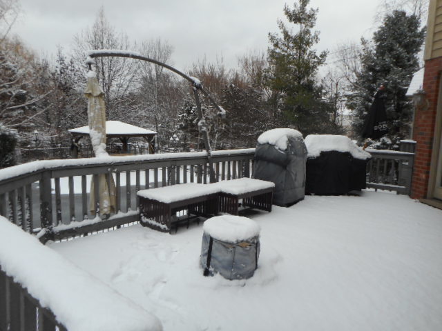 8825 Robert Road Property Photo 5