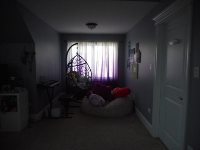 8825 Robert Road Property Photo 52