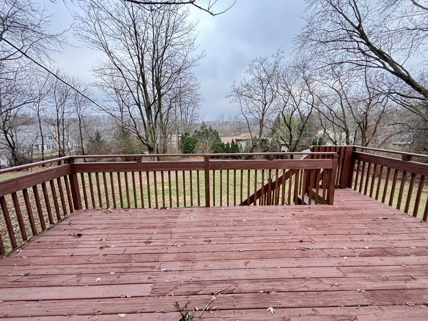 1107 S Hough Street Property Photo 25