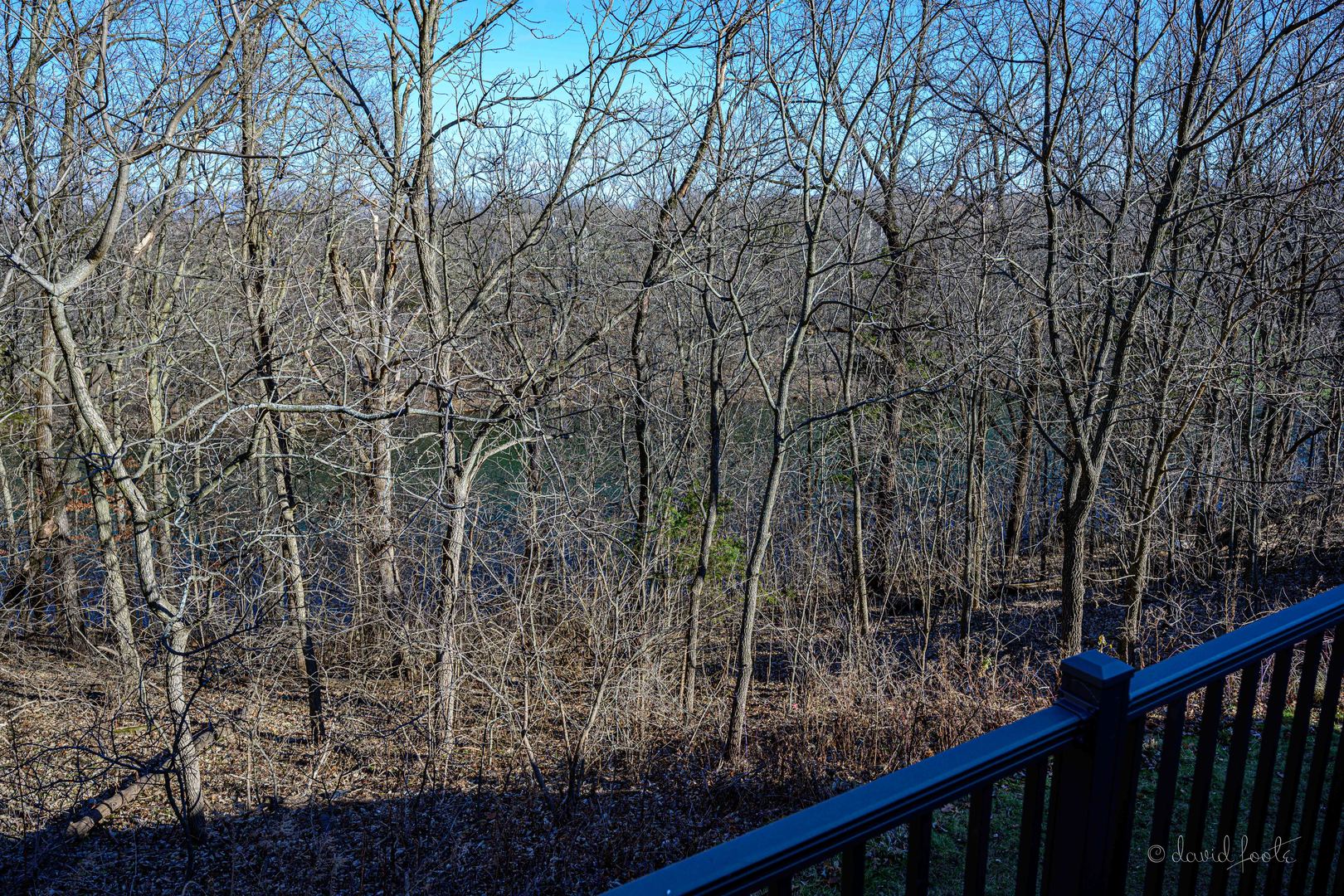 19 Cedar Bluff Lane Property Photo 21