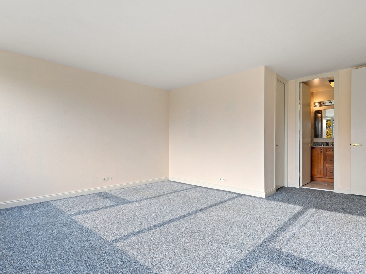 1700 E 56th Street 301 Property Photo 13