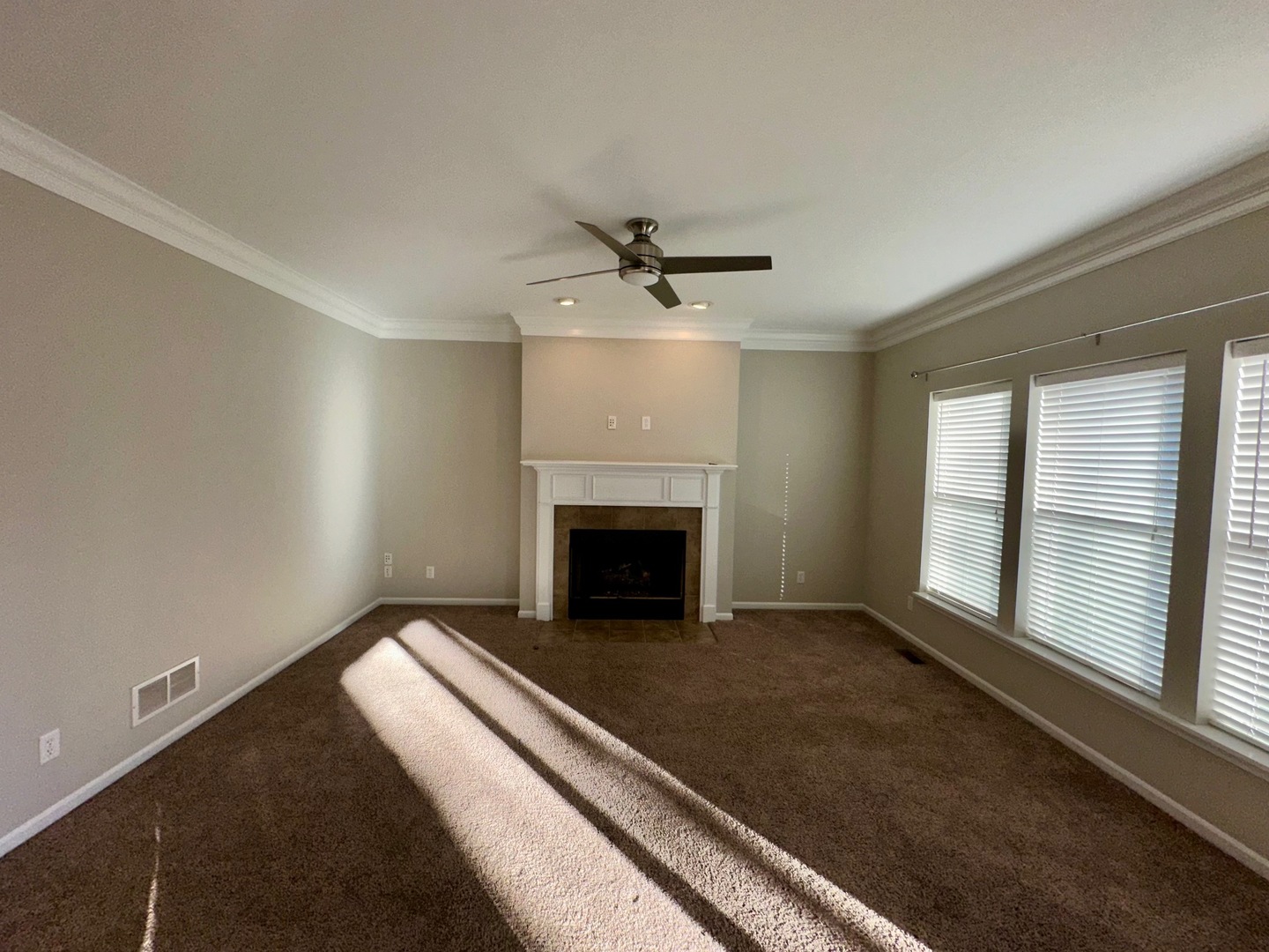0n677 Fieldstone Lane Property Photo 11