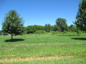 23787 W Reindeer Trail Property Photo