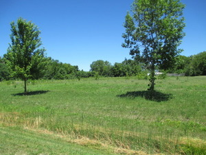 23787 W Reindeer Trl Property Photo 2