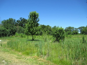 23787 W Reindeer Trl Property Photo 3
