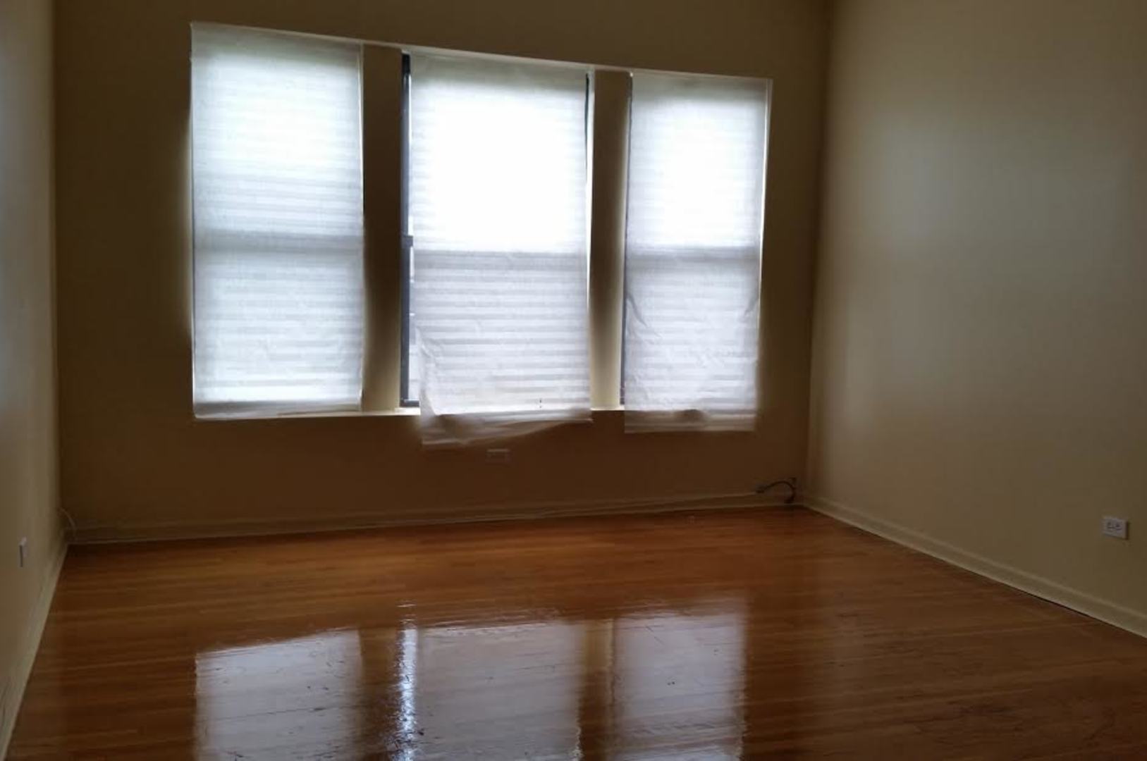 6340 S Kenwood Avenue 3 Property Photo 11