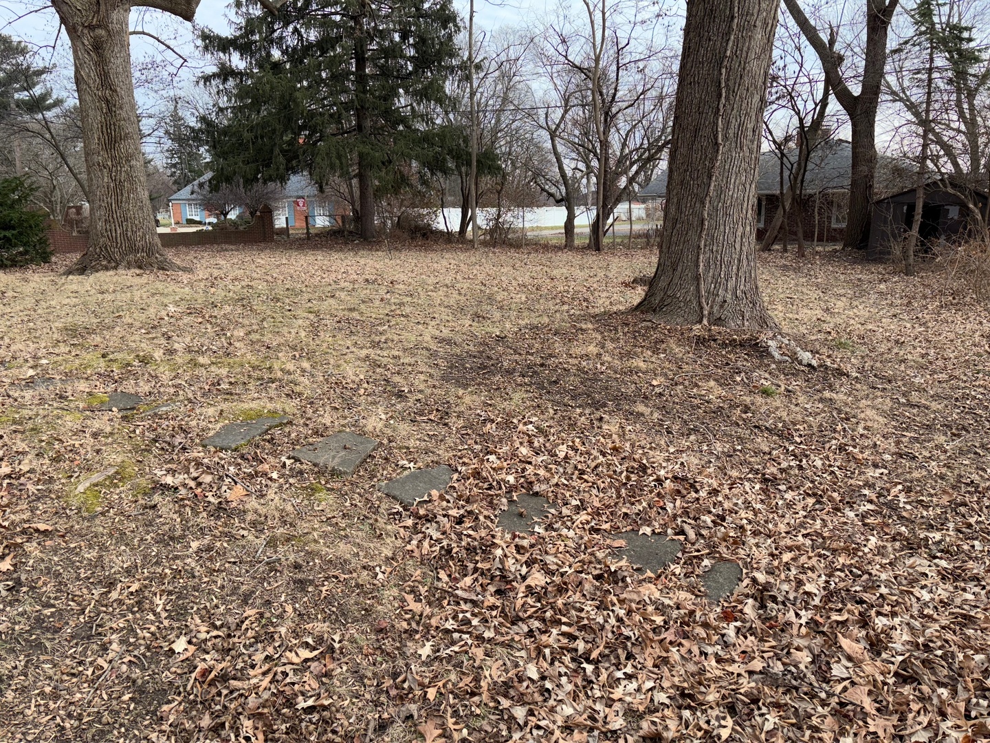 1645 N Vermilion Street Property Photo 11