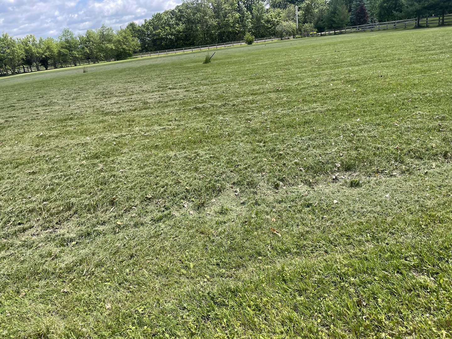Lot 1 Kendall Road Property Photo