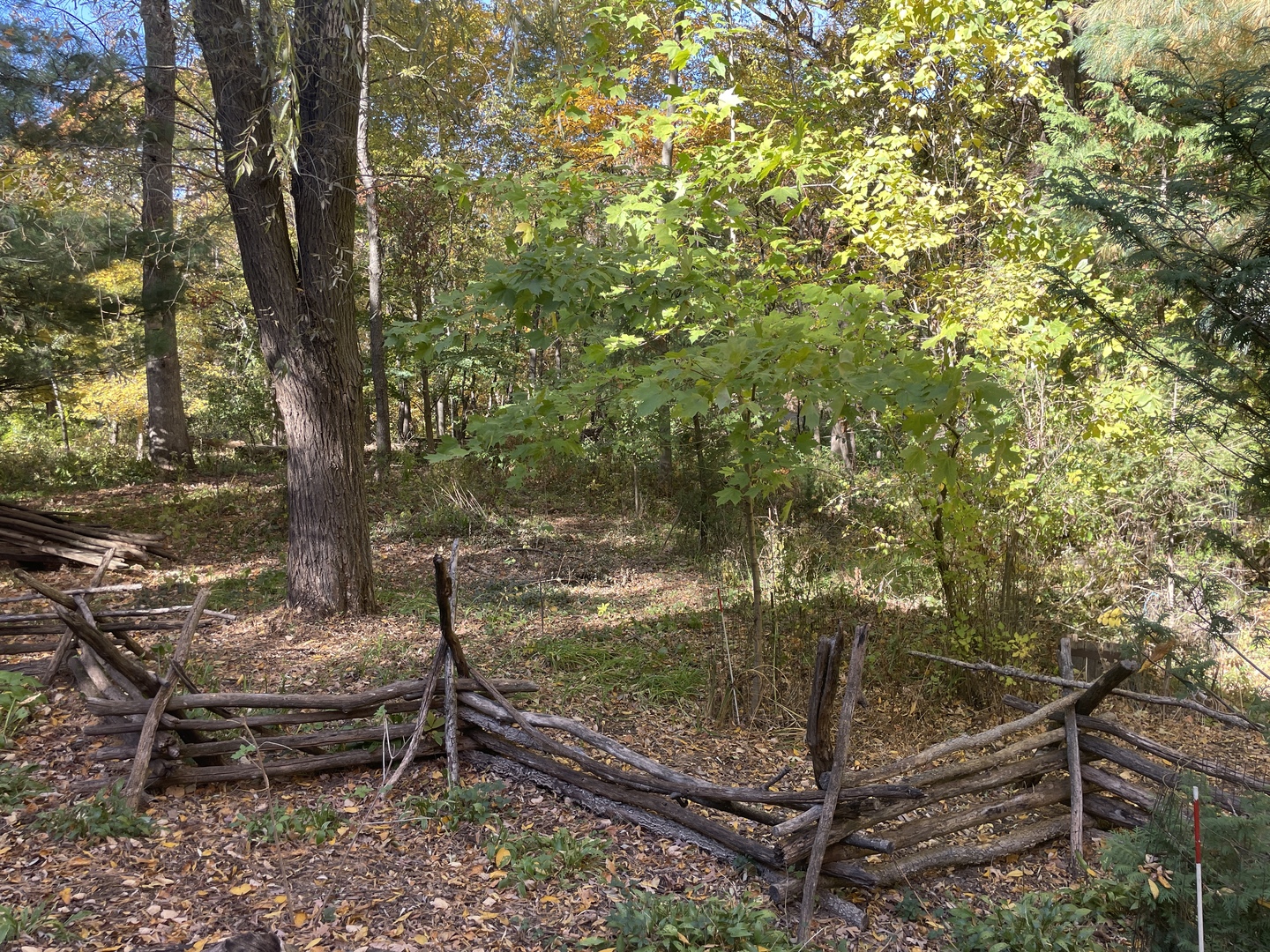 17421 Timber Drive Property Photo 59