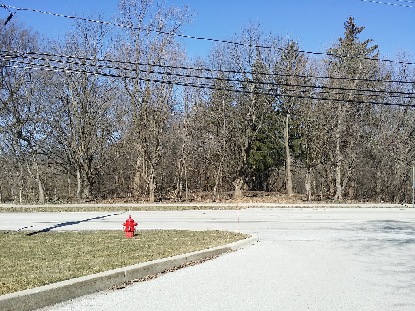 15444 W Half Day Road Property Photo 1