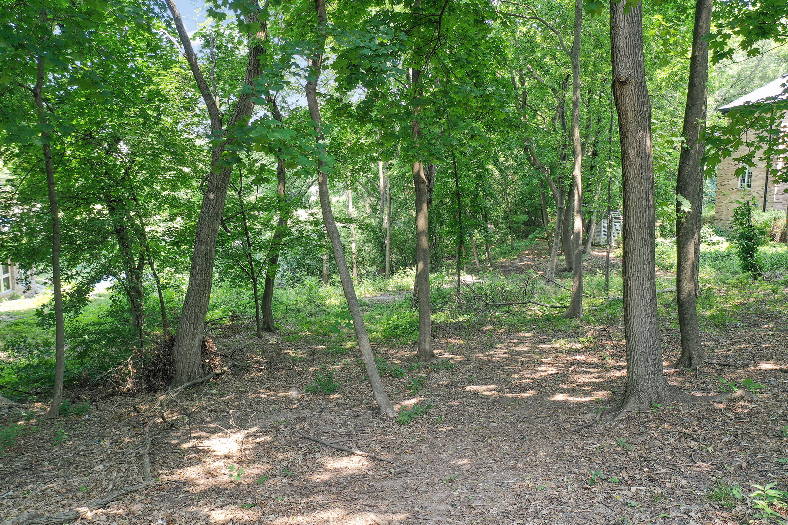 910 Saint Stephens Green Property Photo 1
