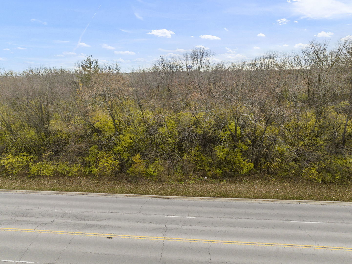 Lot 006 Woodward Avenue Property Photo 12