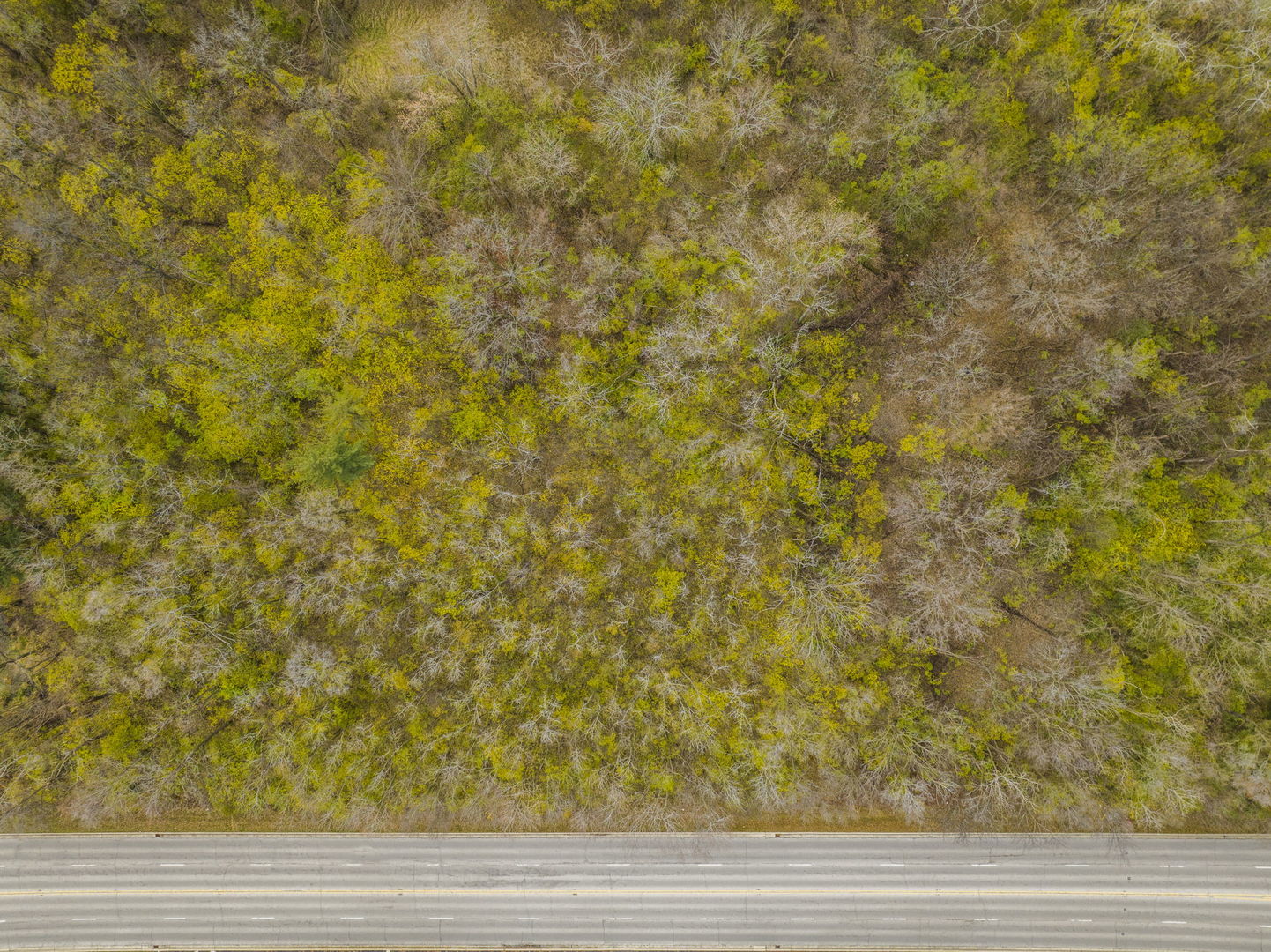 Lot 006 Woodward Avenue Property Photo 15