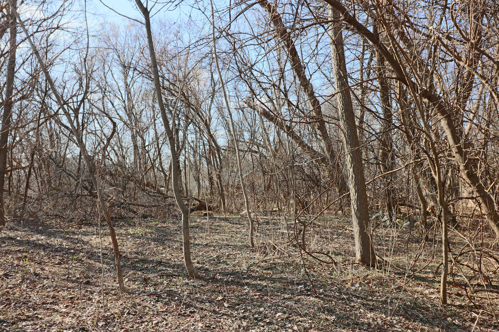 Lot 43 Scenic Court Property Photo