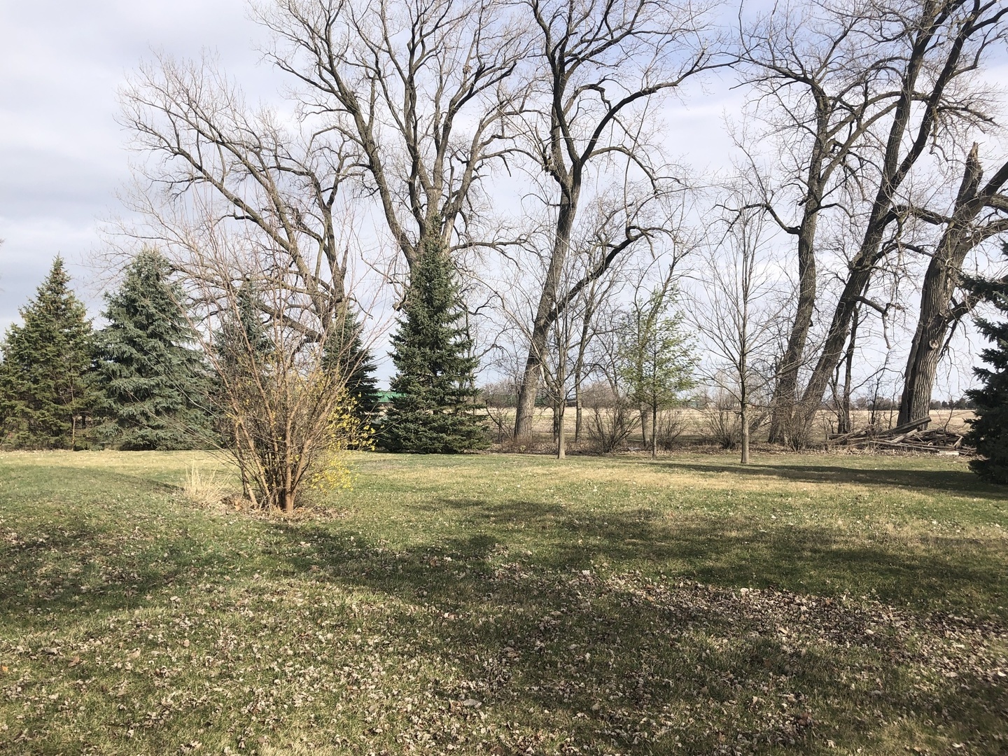 607 N Main Street Property Photo 6