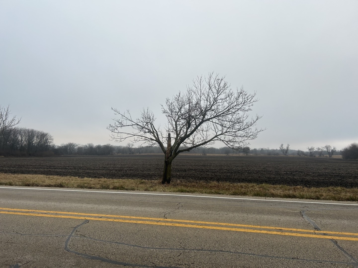 70 Acres Galligan Road Property Photo