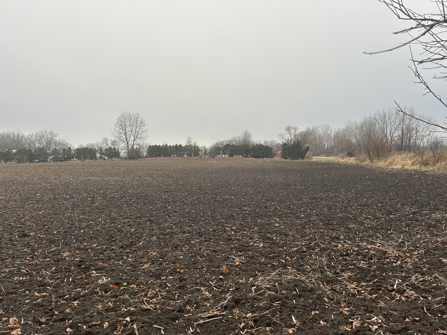 70 Acres Galligan Road Property Photo 6