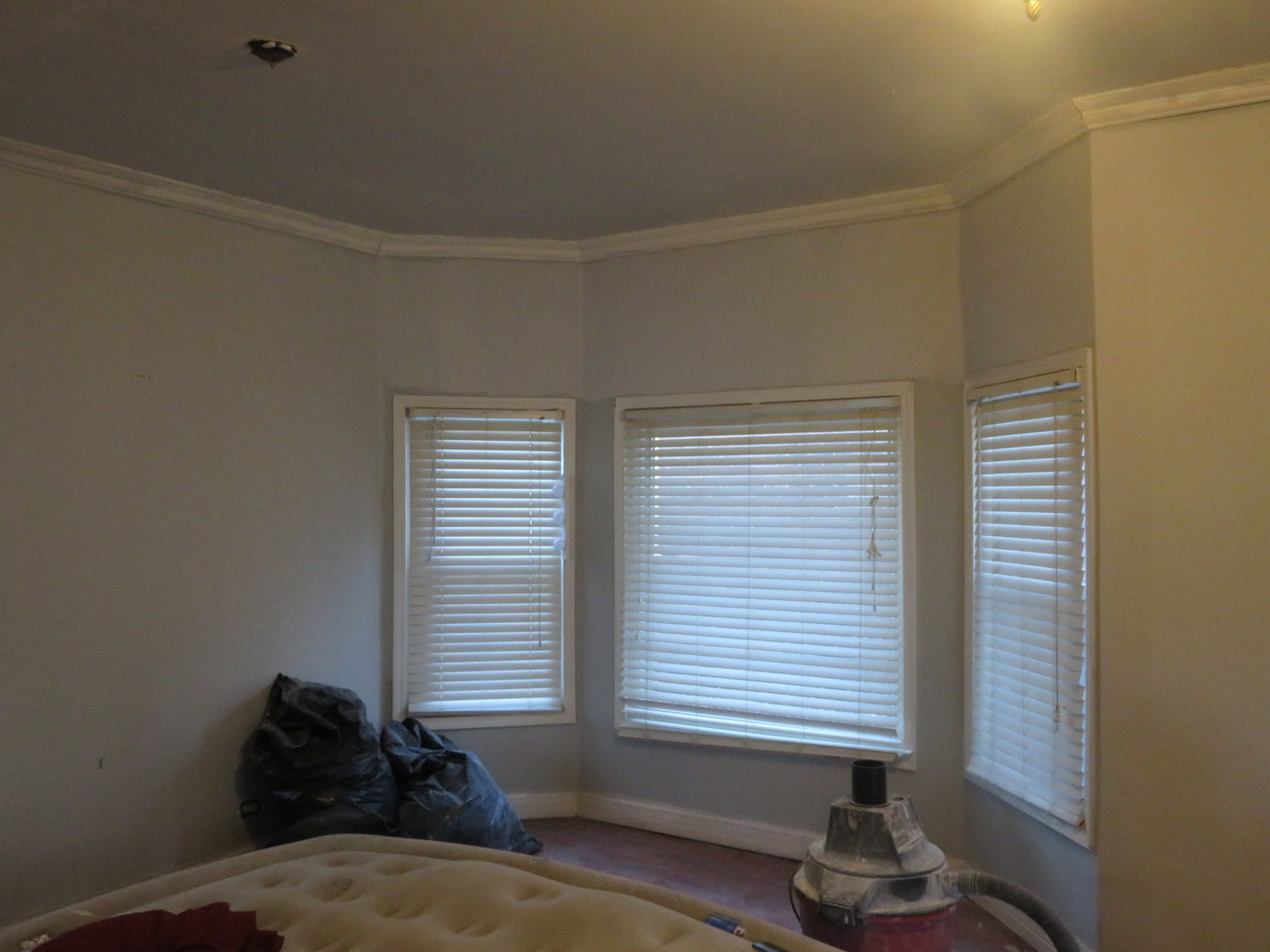 7749 S Green Street Property Photo 5