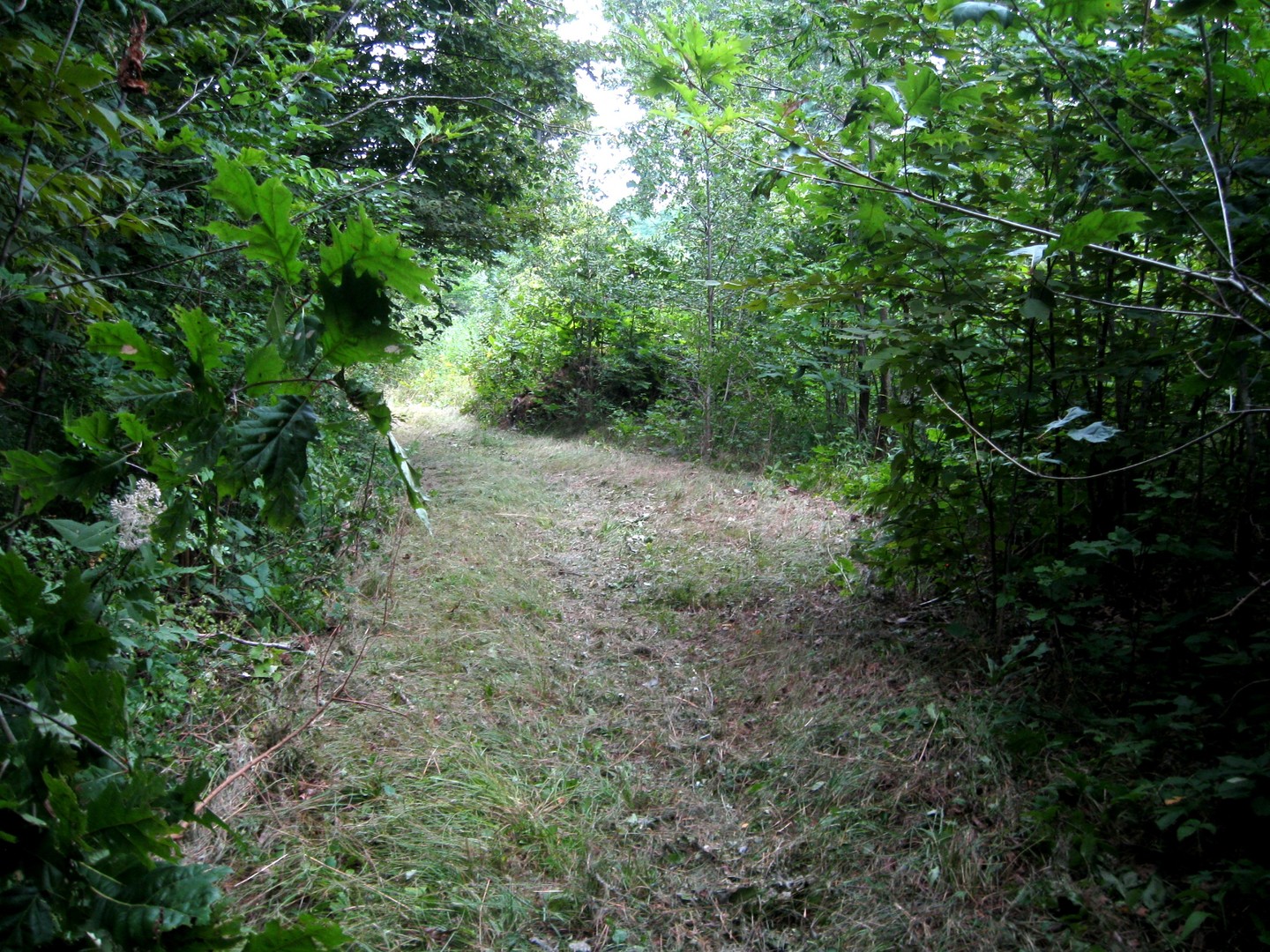 30434 Peaceful Court Property Photo