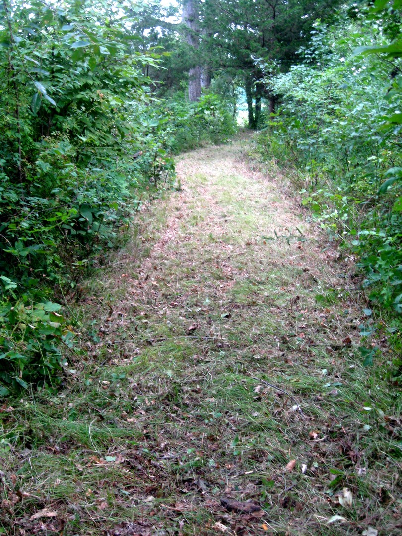 30434 Peaceful Court Property Photo 2