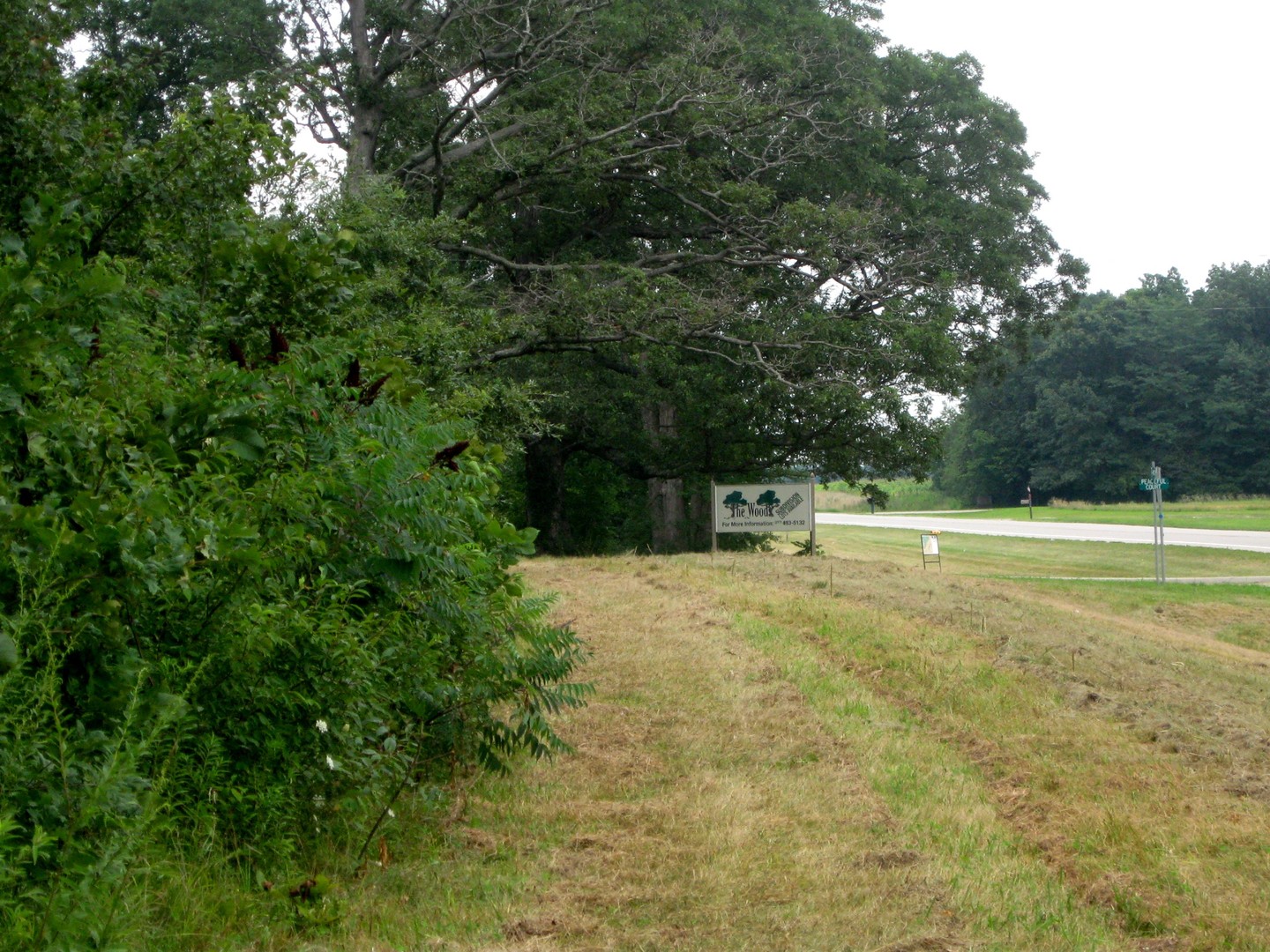 30434 Peaceful Court Property Photo 3