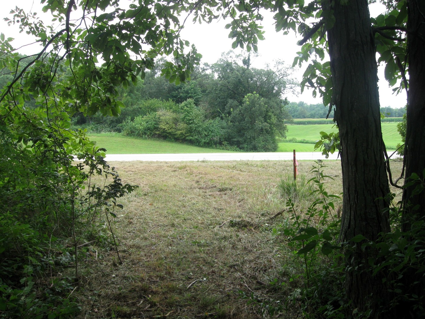 30434 Peaceful Court Property Photo 4