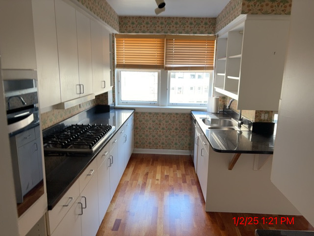 415 W Aldine Avenue 15b Property Photo 13