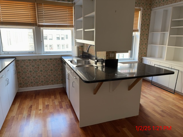 415 W Aldine Avenue 15b Property Photo 15