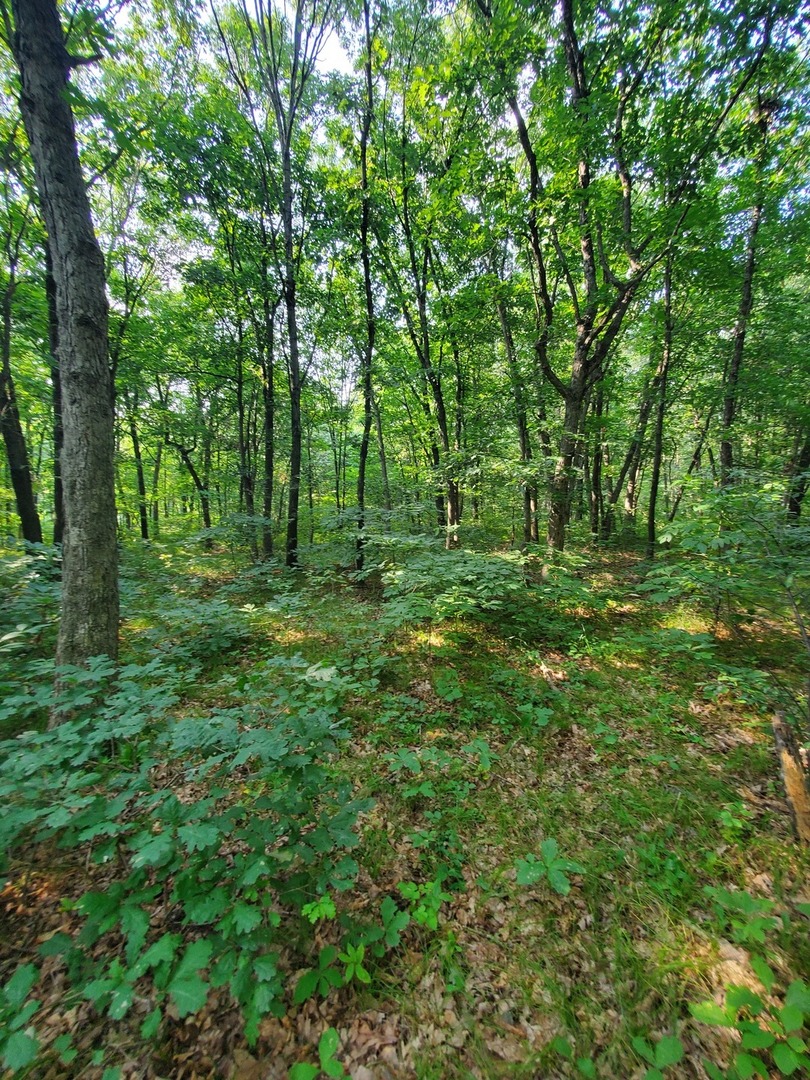 0000 1840 Road Property Photo 1