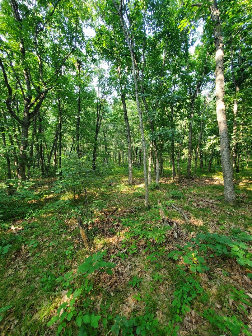 0000 1840 Road Property Photo 2