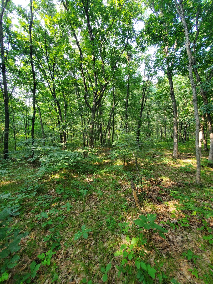 0000 1840 Road Property Photo 3