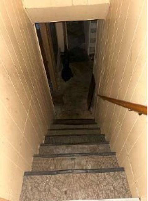 3710 Briar Lane Property Photo 19