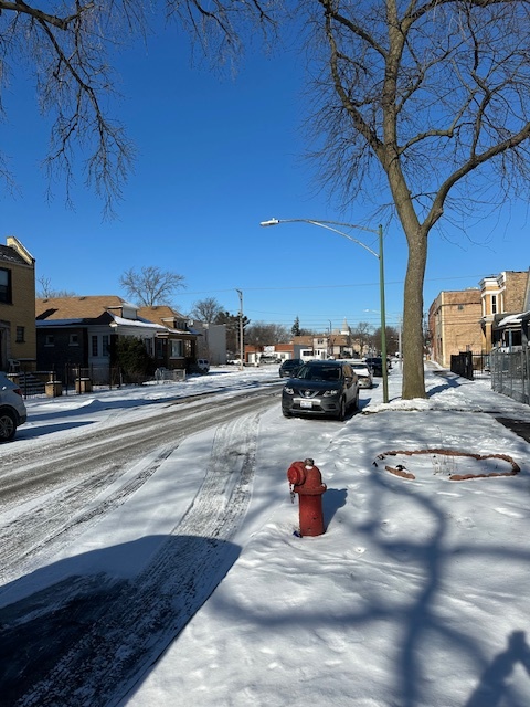 11931 S Wallace Street Property Photo 9
