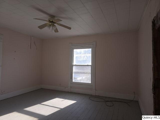 243 Main Street Property Photo 17
