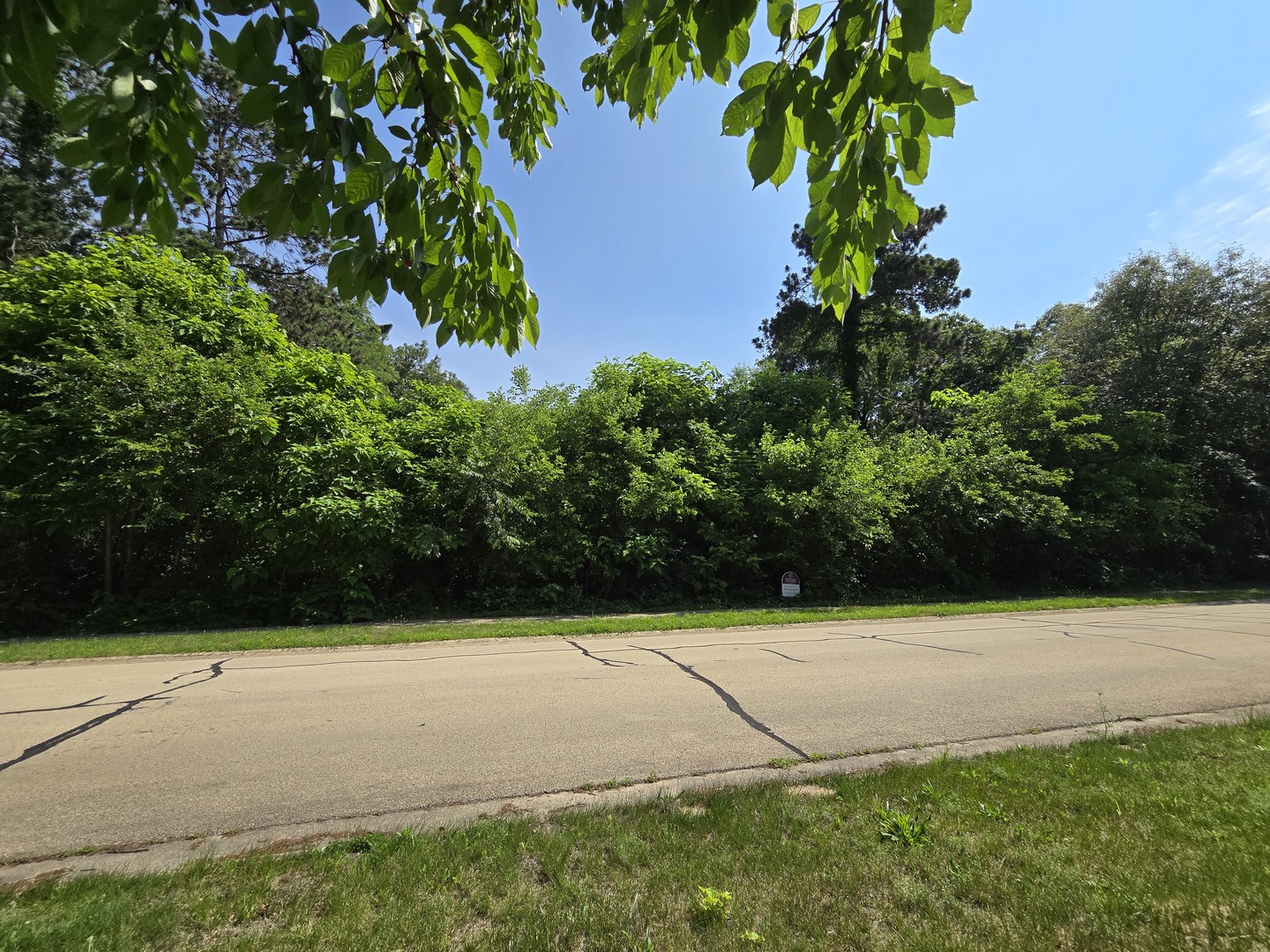 258 Essex Way Property Photo 1