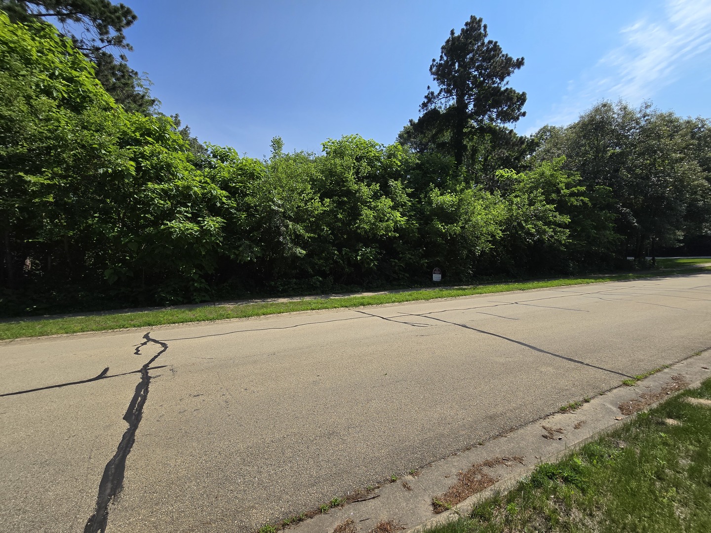 258 Essex Way Property Photo 2