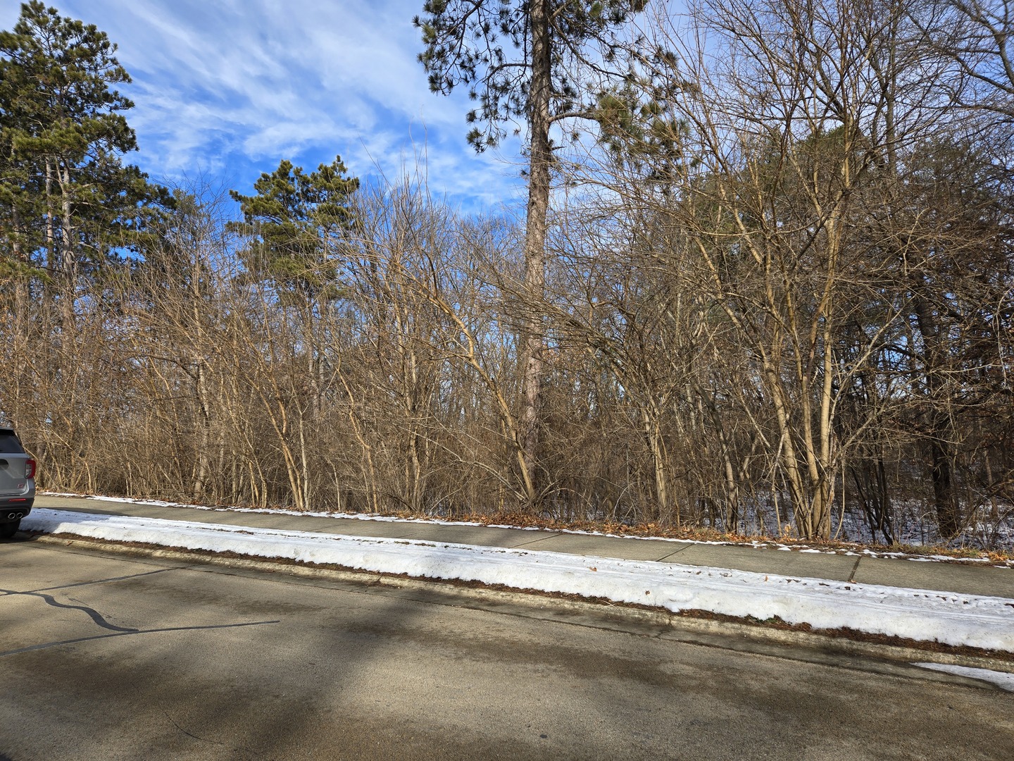 258 Essex Way Property Photo 4