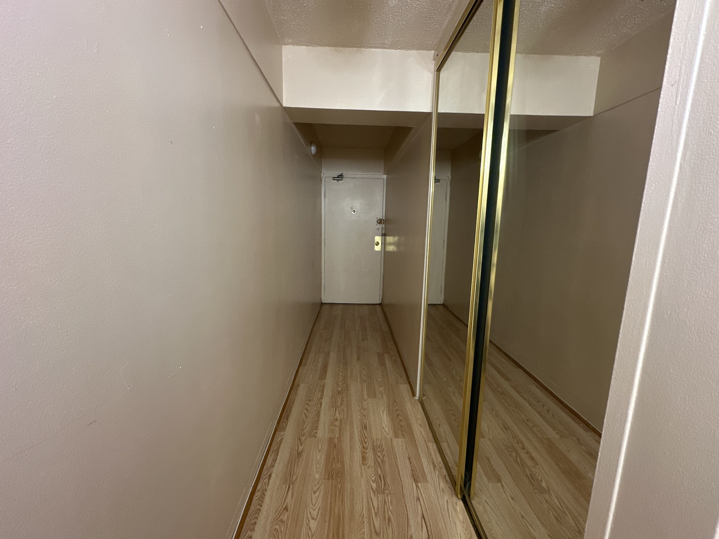 7337 S South Shore Drive 916 Property Photo 3