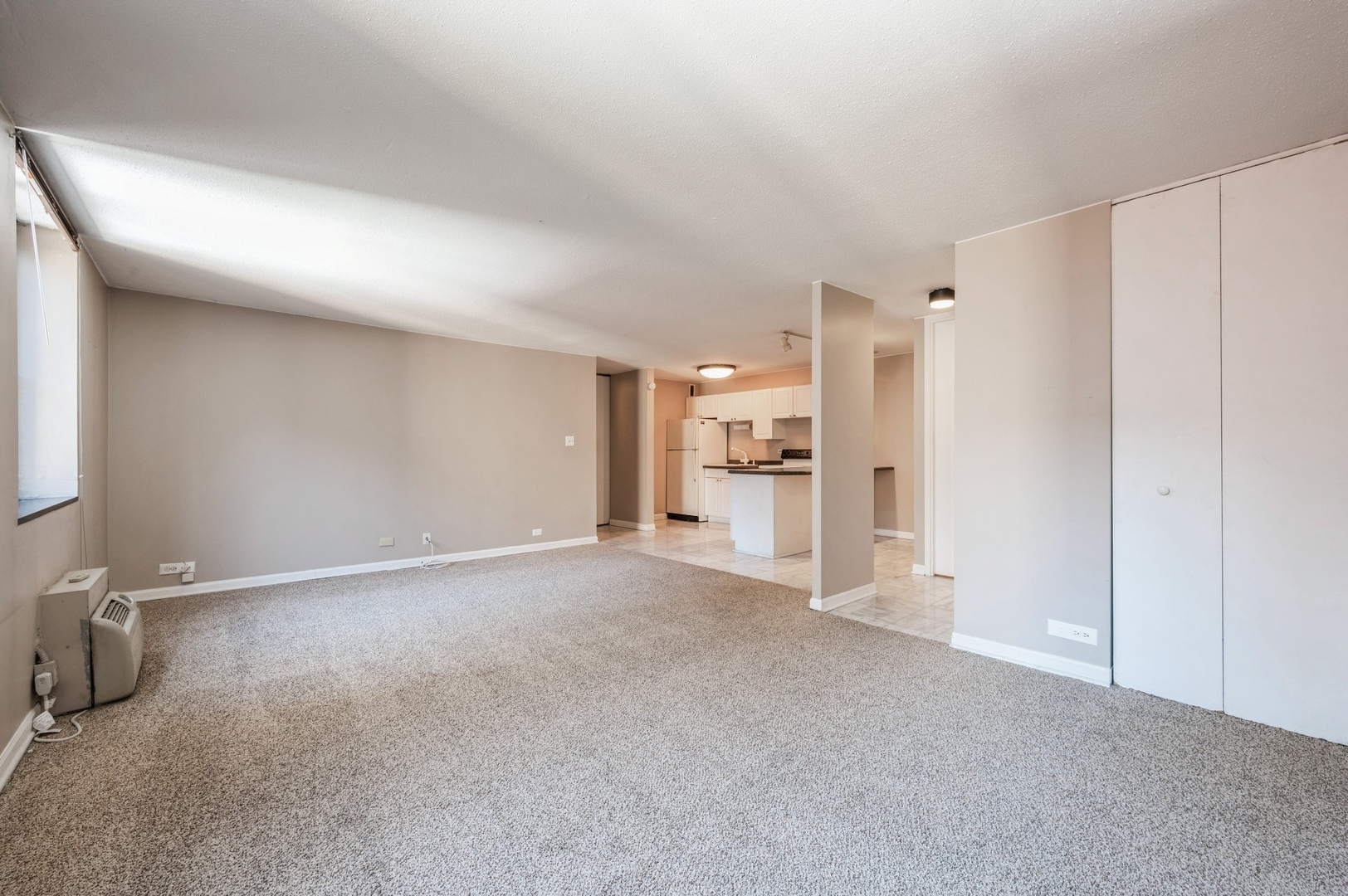 1339 N Dearborn Street 5c Property Photo 6