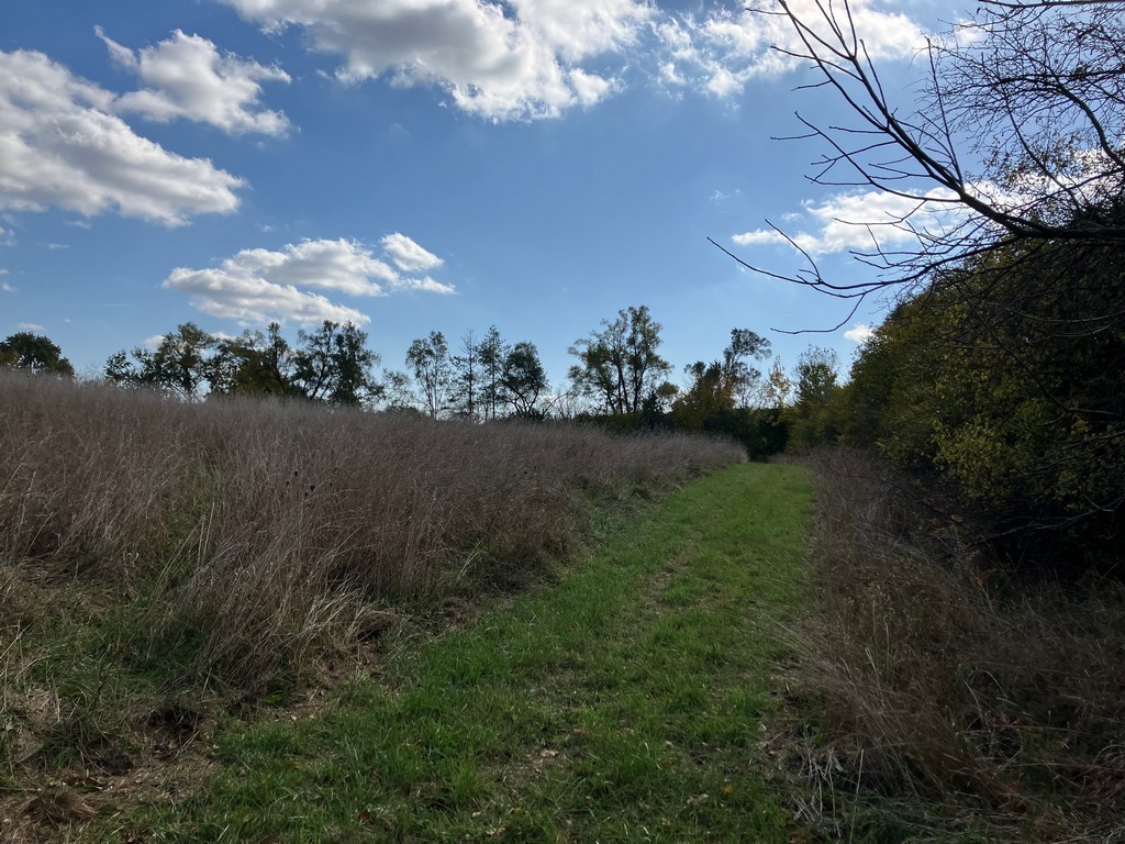 27125 N Williams Park Road Property Photo 8