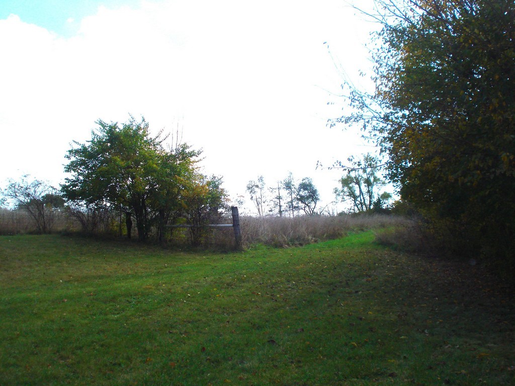 27125 N Williams Park Road Property Photo 9