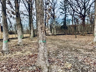 396 Forest Edge Drive Property Photo 3