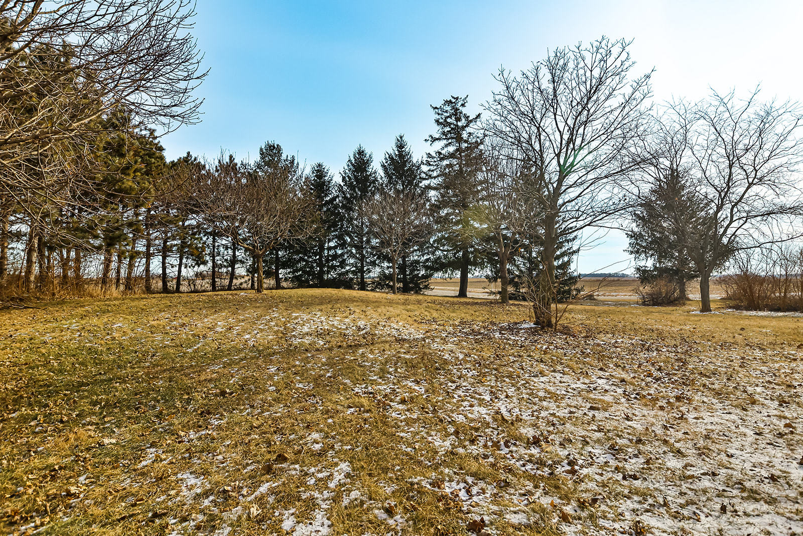 18968 Hurd Road Property Photo 43