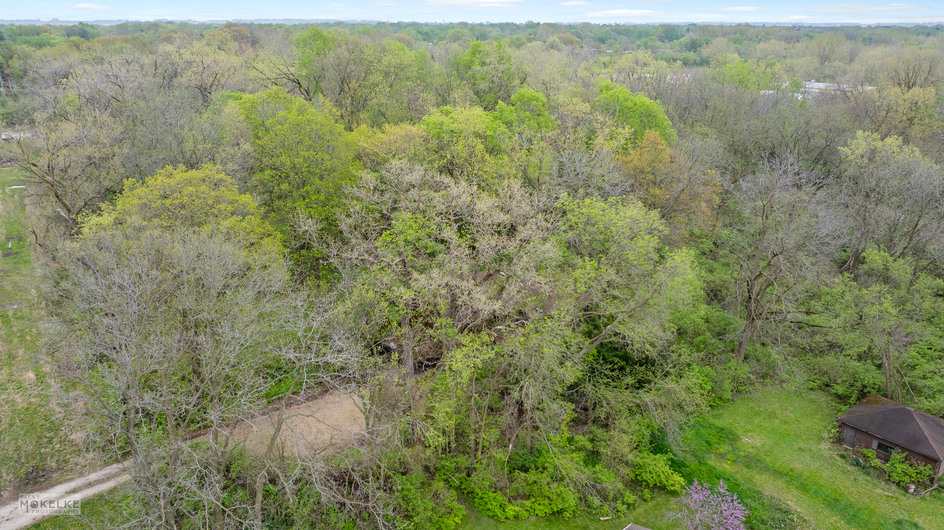 1026 State Route 25 Property Photo 19
