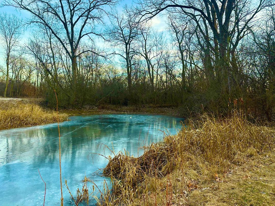 1026 State Route 25 Property Photo 21