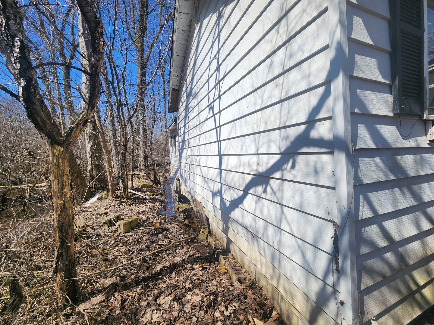 42489 N Forest Lane Property Photo 6