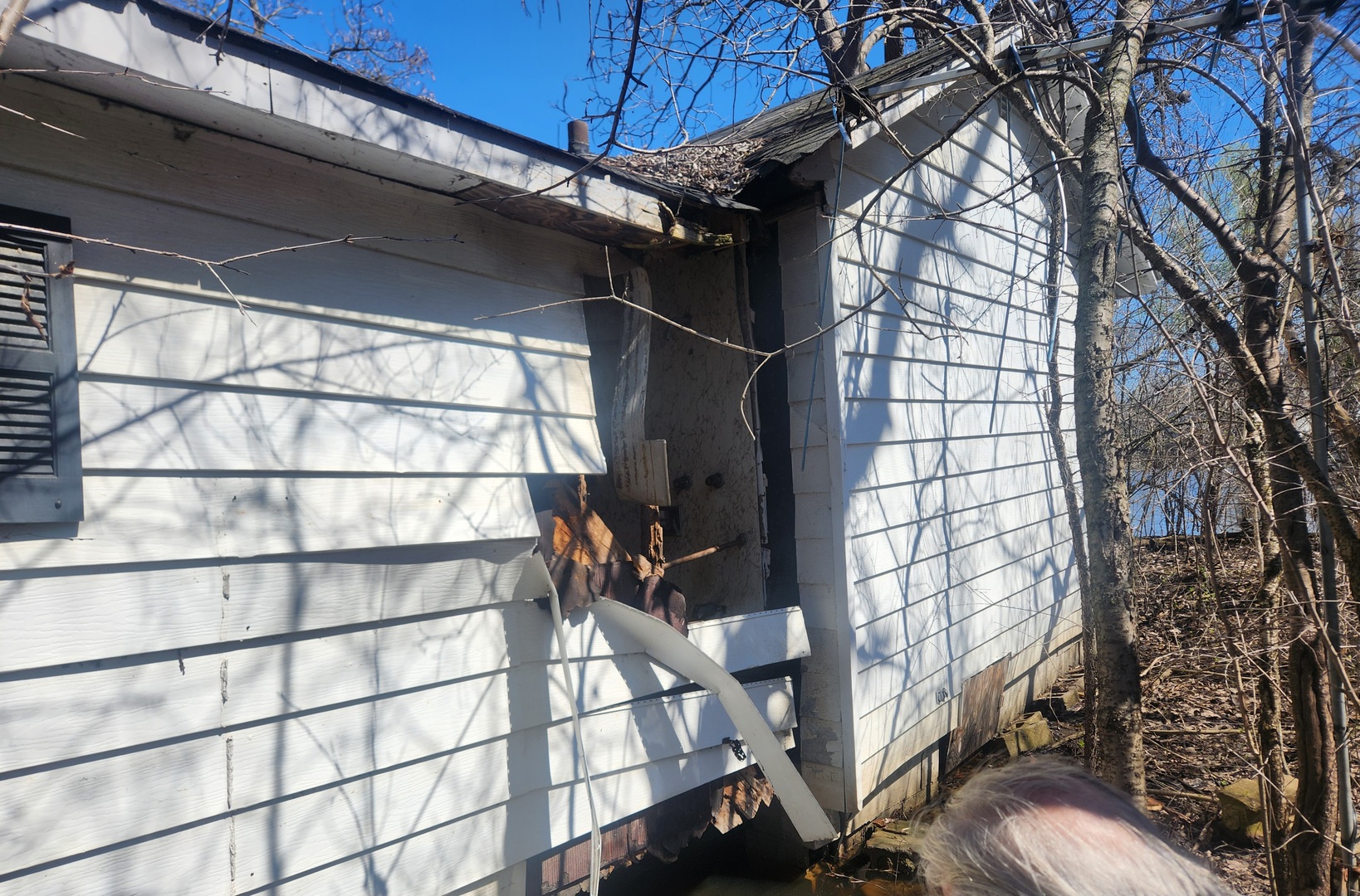42489 N Forest Lane Property Photo 9