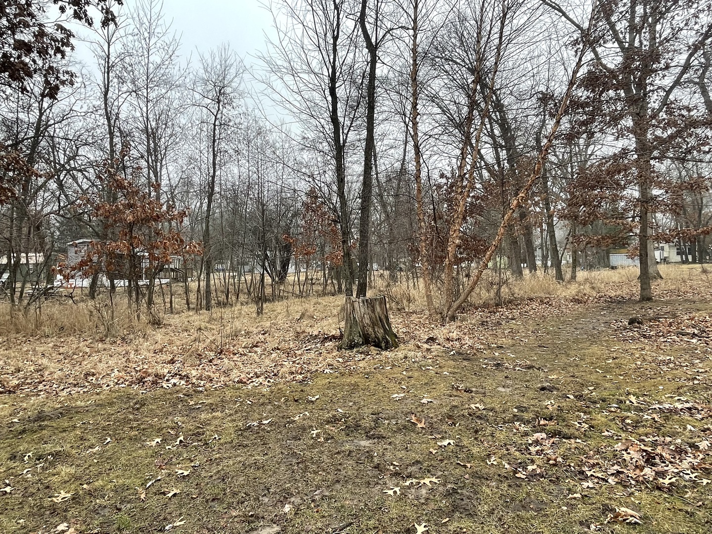 2-266/267 Woodhaven Lakes Property Photo 18