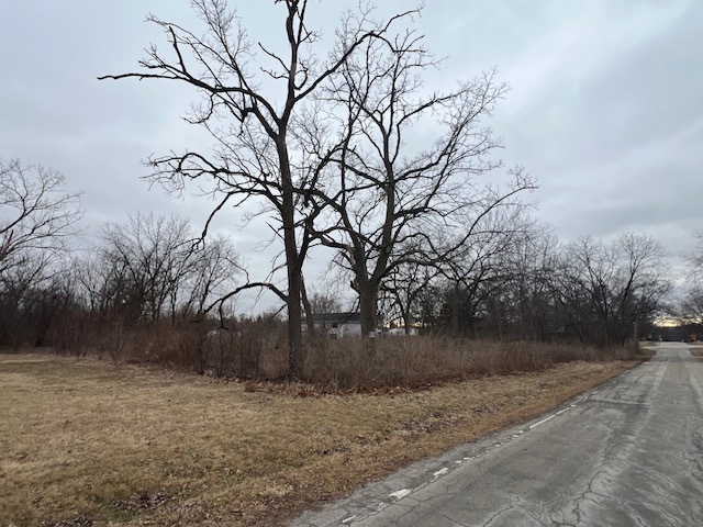 5603 Lenox Road Property Photo 4