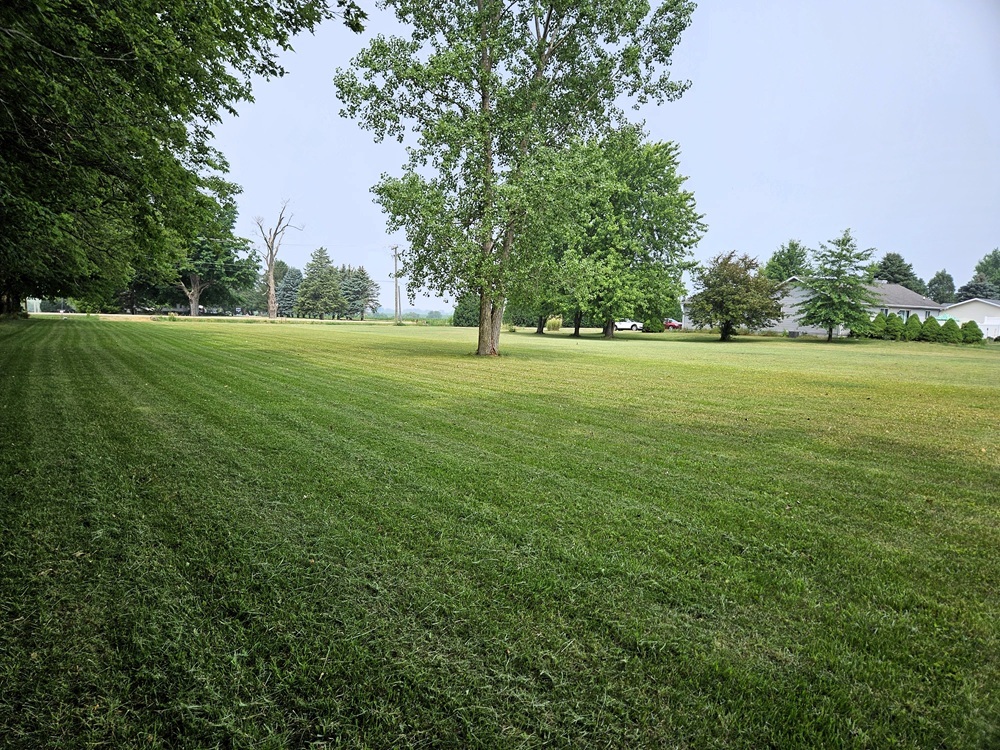 Lot 4 Daysville Road Property Photo 2